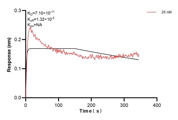 Affinity and Kinetic Characterization of 60776-3-PBS