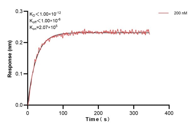Affinity and Kinetic Characterization of 60776-4-PBS