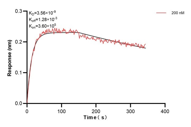 Affinity and Kinetic Characterization of 60777-1-PBS
