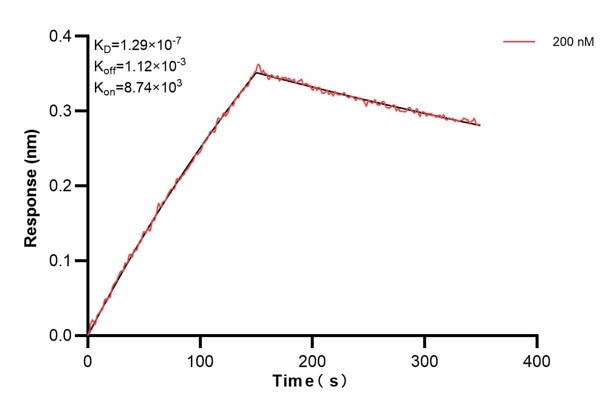 Affinity and Kinetic Characterization of 60779-1-PBS Affinity and Kinetic Characterization of 60779-1-PBS