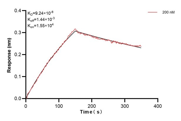 Affinity and Kinetic Characterization of 60779-2-PBS