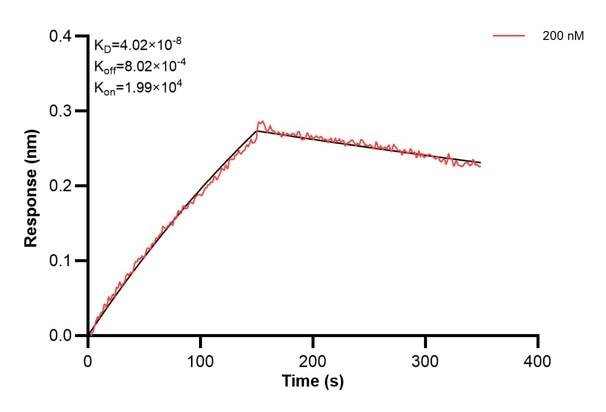 Affinity and Kinetic Characterization of 60788-2-PBS Affinity and Kinetic Characterization of 60788-2-PBS