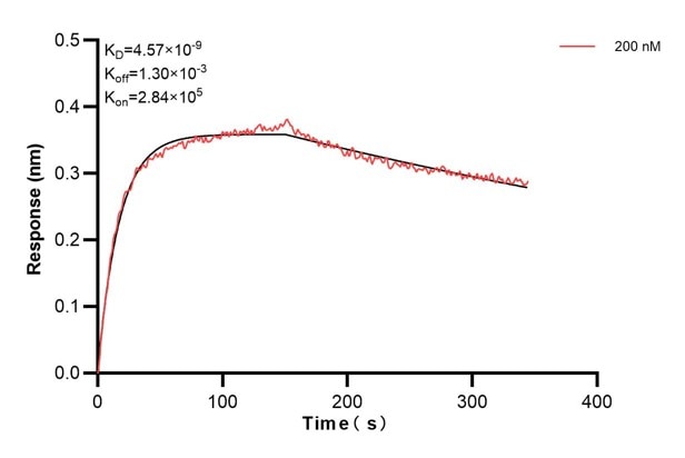 Affinity and Kinetic Characterization of 60791-2-PBS