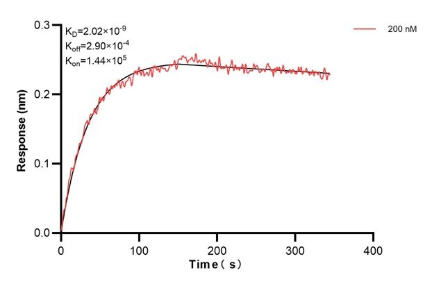 Affinity and Kinetic Characterization of 60791-3-PBS