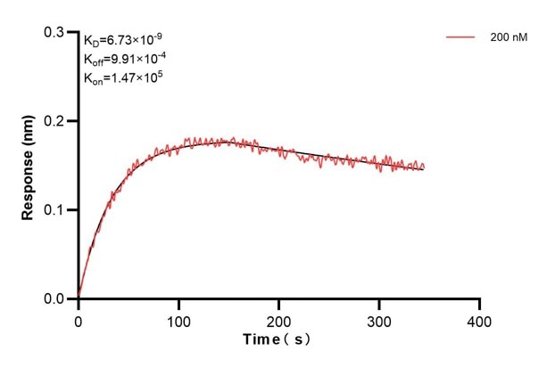 Affinity and Kinetic Characterization of 60791-5-PBS