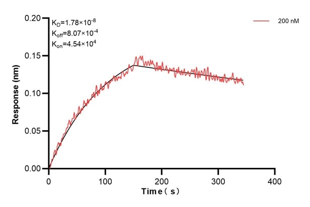 Affinity and Kinetic Characterization of 60791-6-PBS