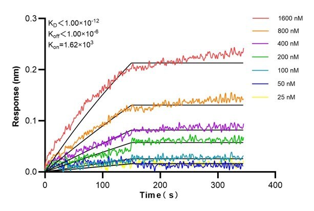 Affinity and Kinetic Characterization of 60792-2-PBS