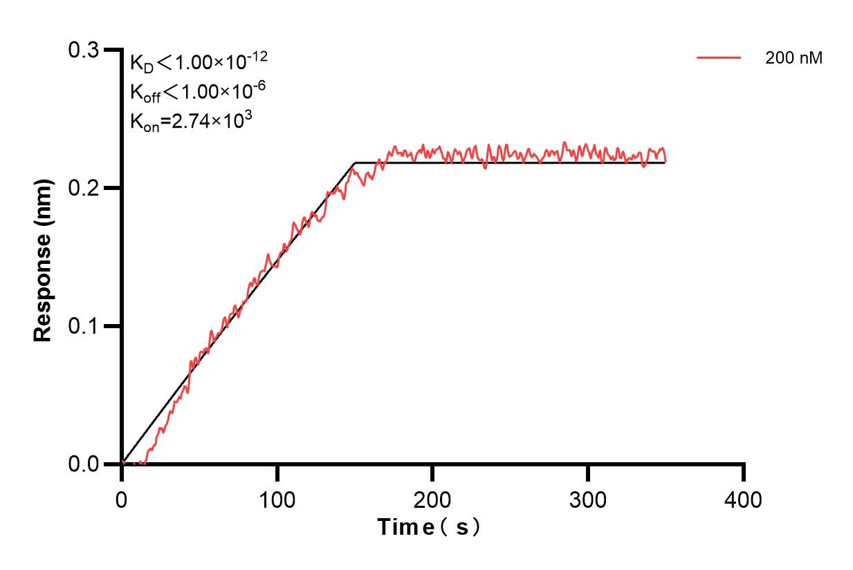Affinity and Kinetic Characterization of 60797-1-PBS