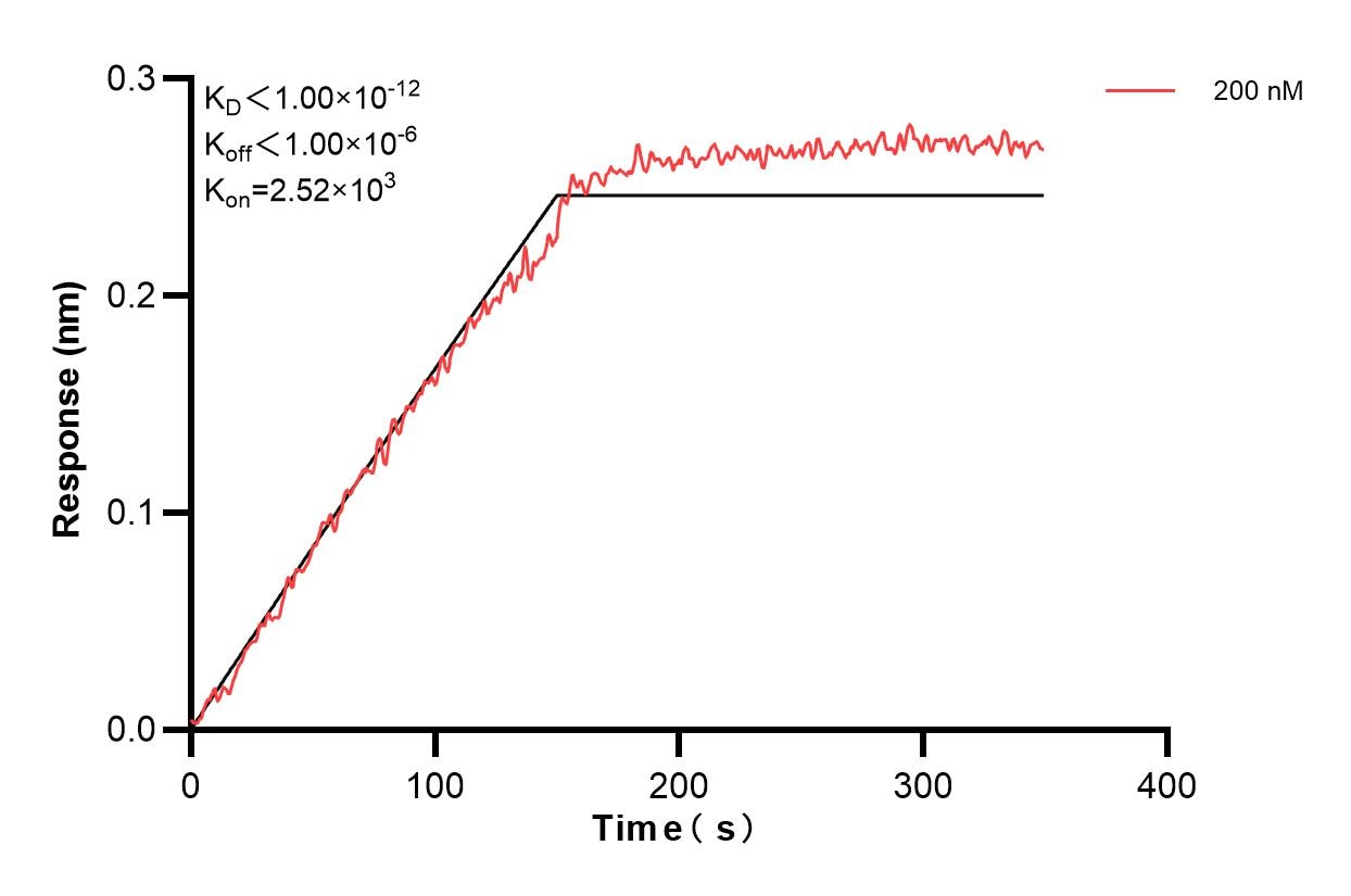 Affinity and Kinetic Characterization of 60797-3-PBS