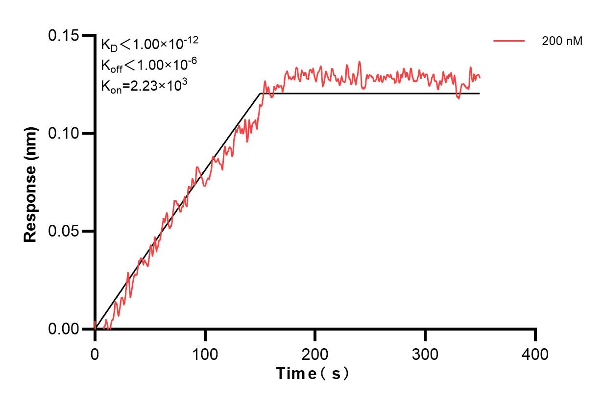 Affinity and Kinetic Characterization of 60797-4-PBS