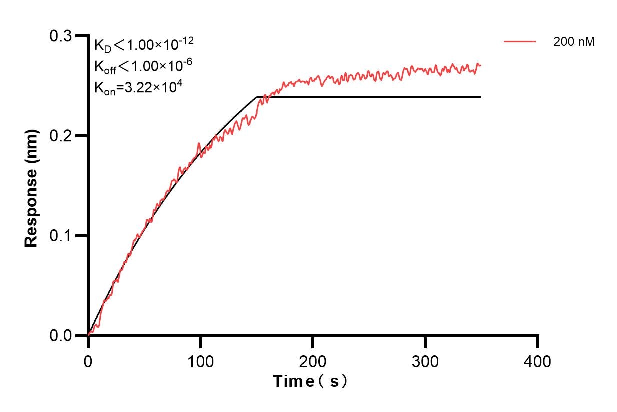 Affinity and Kinetic Characterization of 60797-5-PBS Affinity and Kinetic Characterization of 60797-5-PBS