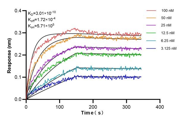Affinity and Kinetic Characterization of 60801-2-PBS