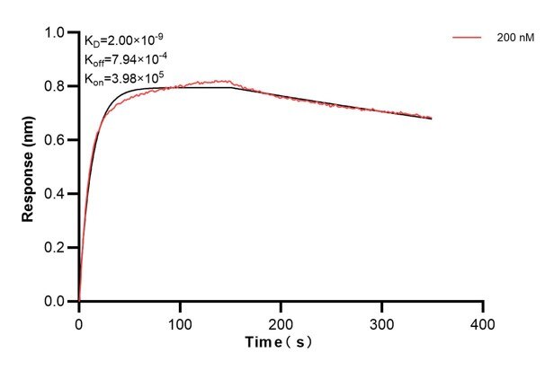 Affinity and Kinetic Characterization of 60813-1-PBS Affinity and Kinetic Characterization of 60813-1-PBS