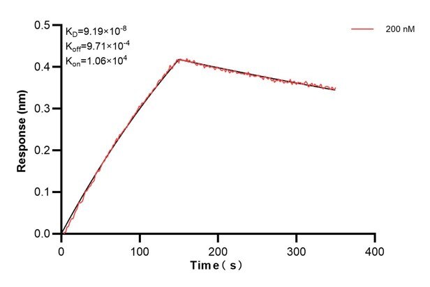 Affinity and Kinetic Characterization of 60813-2-PBS