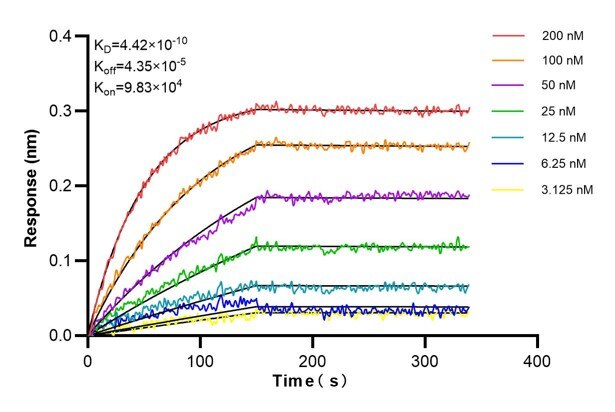 Affinity and Kinetic Characterization of 60814-2-PBS
