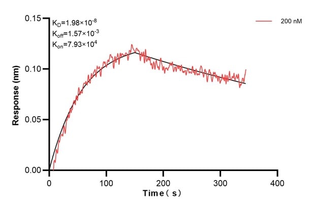 Affinity and Kinetic Characterization of 60841-1-PBS