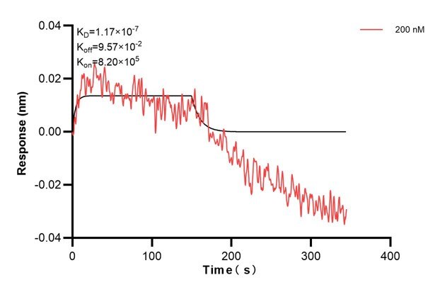 Affinity and Kinetic Characterization of 60841-3-PBS
