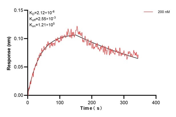 Affinity and Kinetic Characterization of 60841-5-PBS