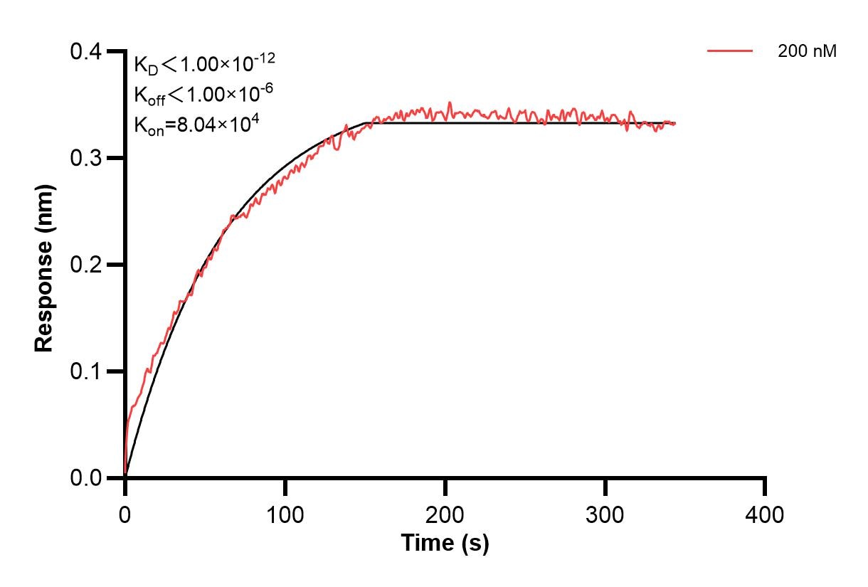 Affinity and Kinetic Characterization of 60842-3-PBS Affinity and Kinetic Characterization of 60842-3-PBS
