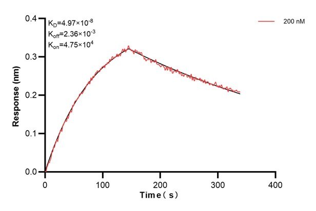 Affinity and Kinetic Characterization of 60844-2-PBS