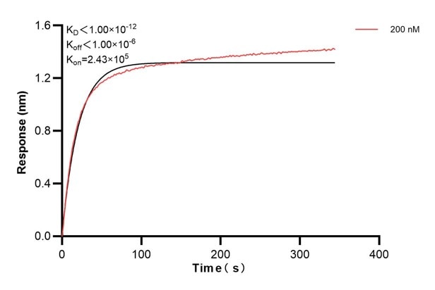 Affinity and Kinetic Characterization of 60858-4-PBS