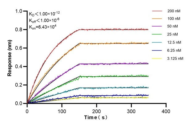 Affinity and Kinetic Characterization of 60859-1-PBS