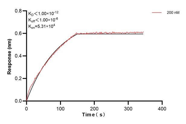 Affinity and Kinetic Characterization of 60874-2-PBS Affinity and Kinetic Characterization of 60874-2-PBS