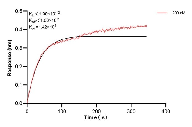 Affinity and Kinetic Characterization of 60888-1-PBS