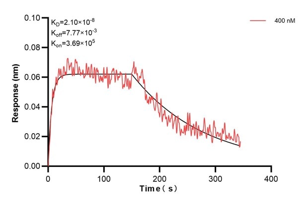 Affinity and Kinetic Characterization of 60888-2-PBS