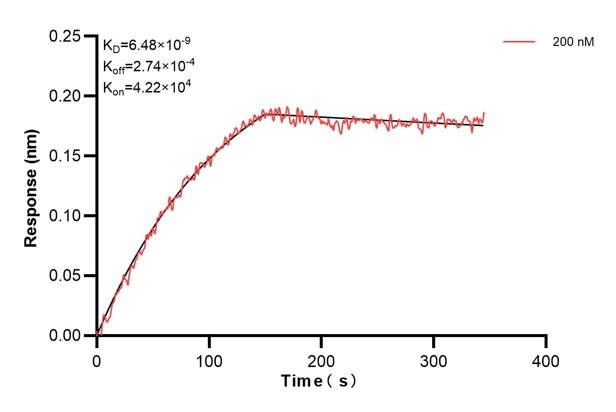 Affinity and Kinetic Characterization of 60888-3-PBS Affinity and Kinetic Characterization of 60888-3-PBS