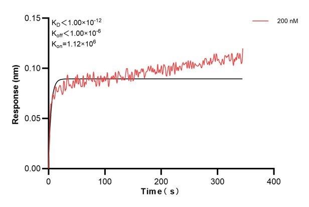 Affinity and Kinetic Characterization of 60906-3-PBS