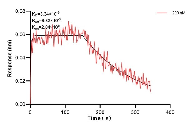 Affinity and Kinetic Characterization of 60908-2-PBS
