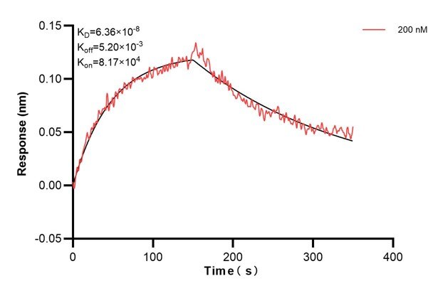 Affinity and Kinetic Characterization of 60911-2-PBS