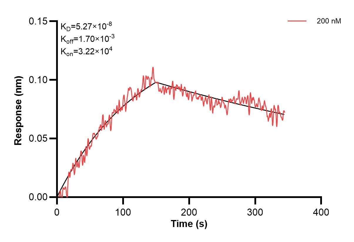 Affinity and Kinetic Characterization of 60931-2-PBS