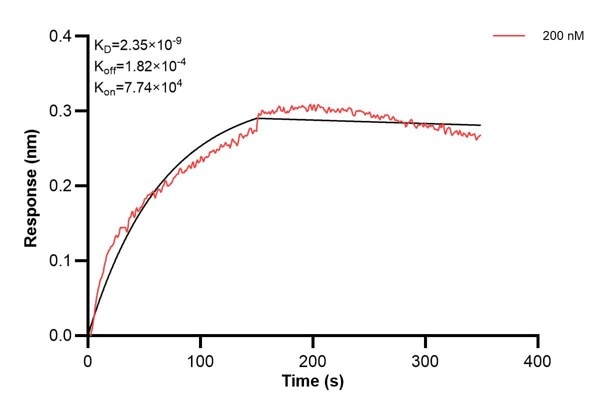 Affinity and Kinetic Characterization of 60962-2-PBS