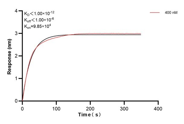 Affinity and Kinetic Characterization of 60966-2-PBS Affinity and Kinetic Characterization of 60966-2-PBS