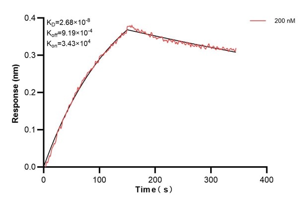 Affinity and Kinetic Characterization of 60981-2-PBS Affinity and Kinetic Characterization of 60981-2-PBS