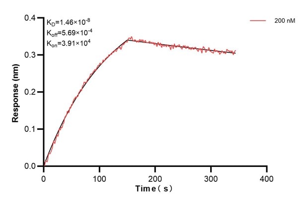 Affinity and Kinetic Characterization of 60987-1-PBS