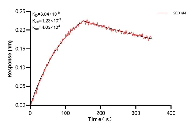 Affinity and Kinetic Characterization of 60987-2-PBS