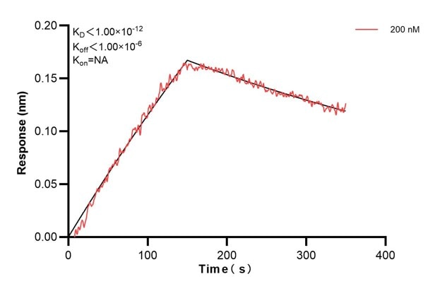 Affinity and Kinetic Characterization of 61004-2-PBS