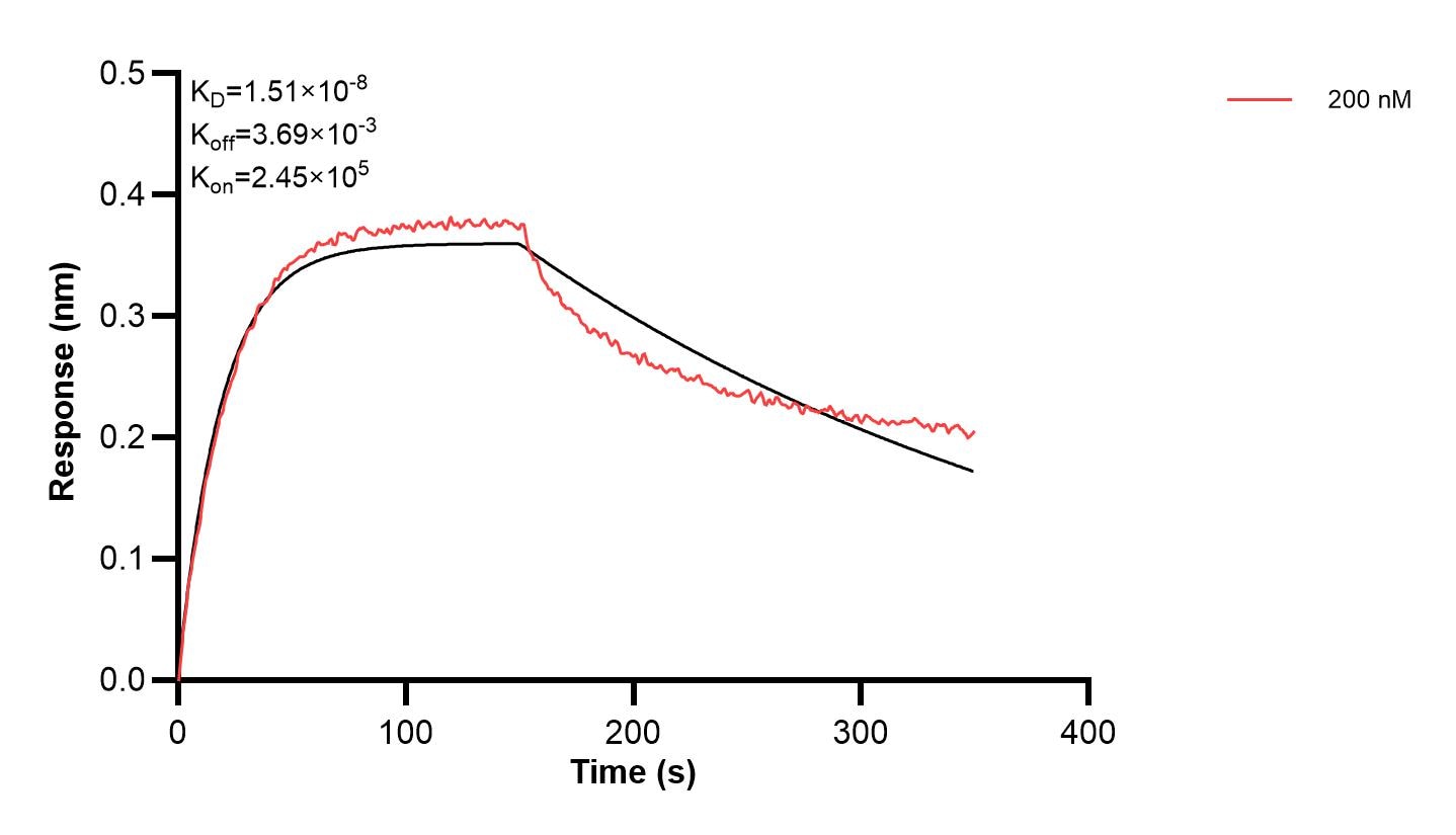 Affinity and Kinetic Characterization of 61010-1-PBS Affinity and Kinetic Characterization of 61010-1-PBS