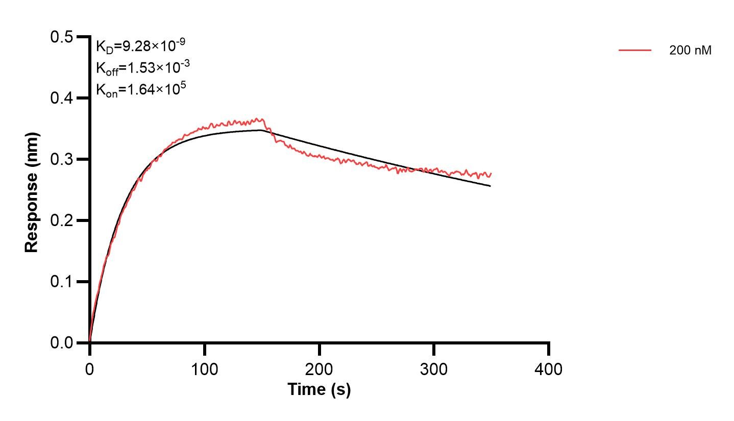 Affinity and Kinetic Characterization of 61010-2-PBS Affinity and Kinetic Characterization of 61010-2-PBS