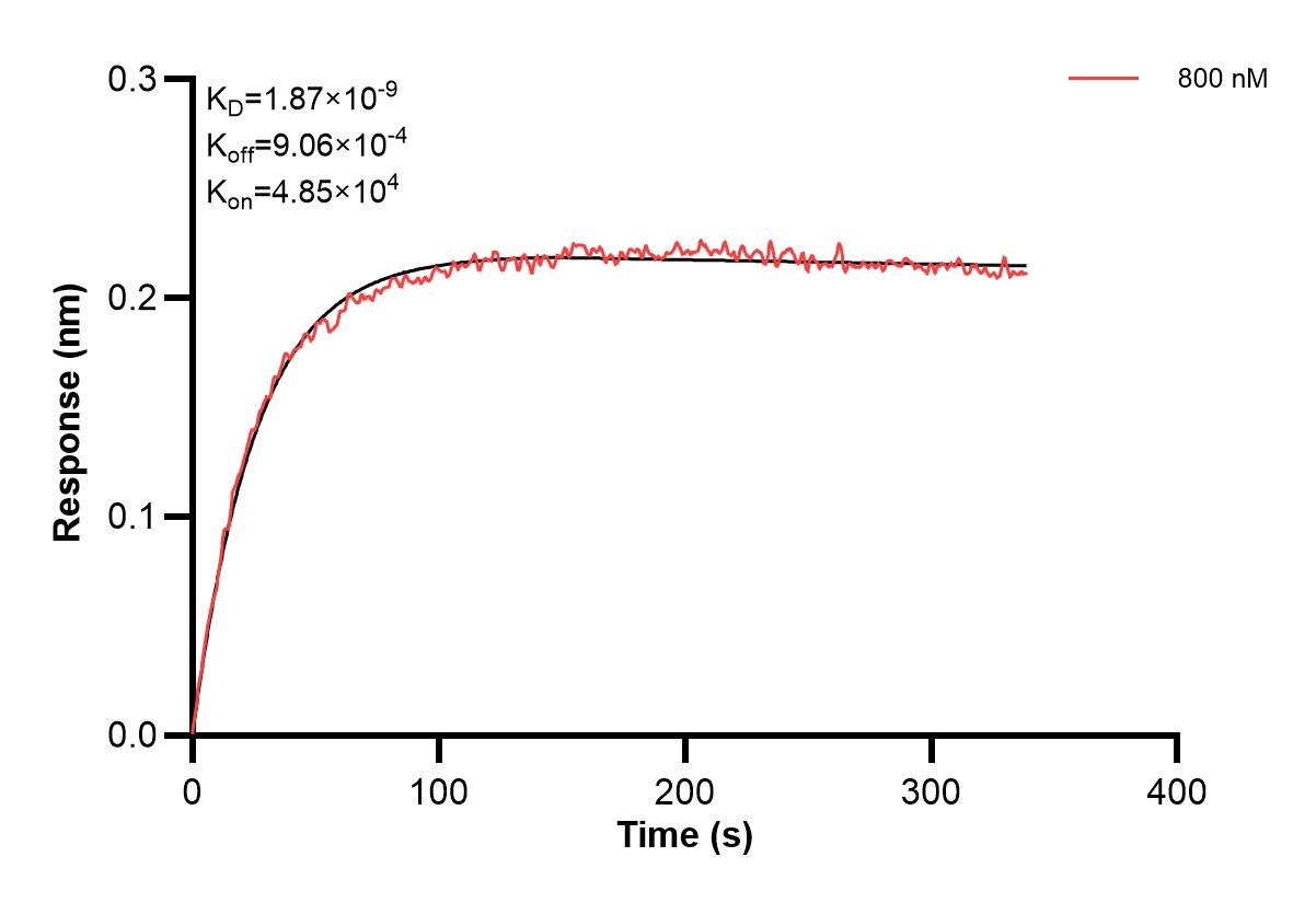 Affinity and Kinetic Characterization of 61074-1-PBS Affinity and Kinetic Characterization of 61074-1-PBS