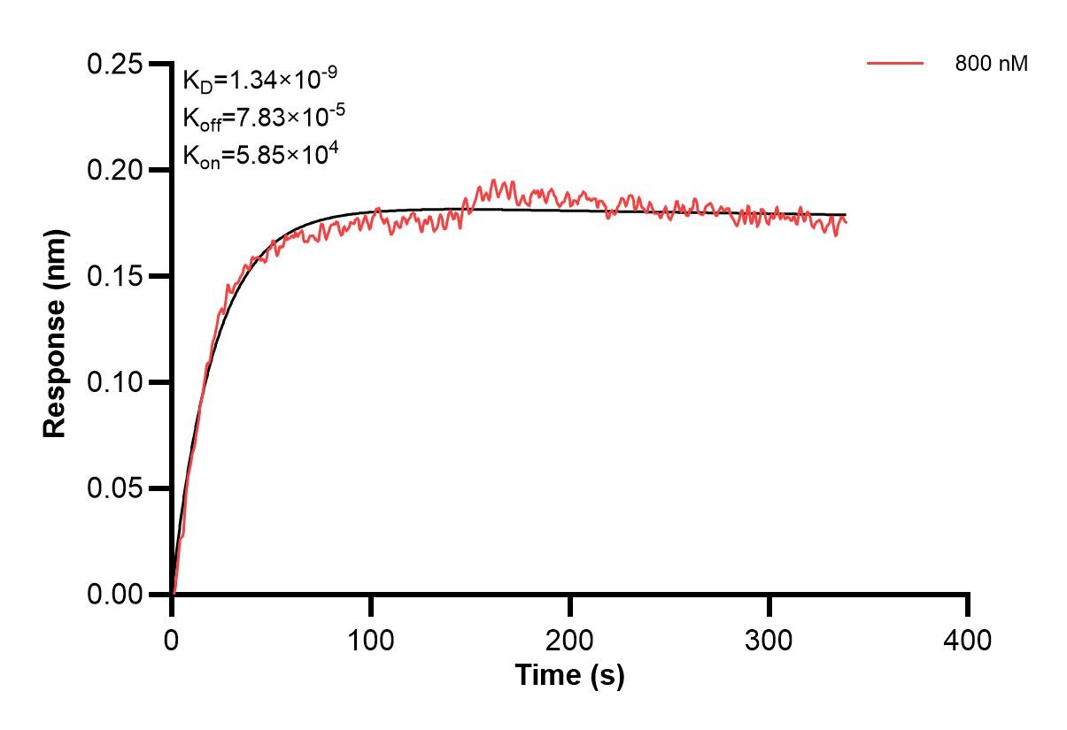 Affinity and Kinetic Characterization of 61074-2-PBS Affinity and Kinetic Characterization of 61074-2-PBS