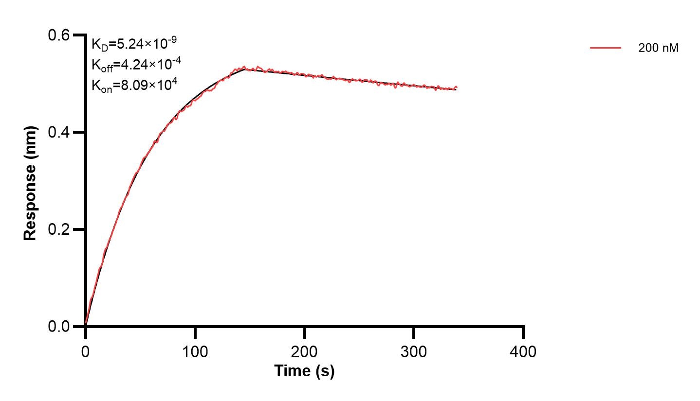 Affinity and Kinetic Characterization of 61089-1-PBS Affinity and Kinetic Characterization of 61089-1-PBS