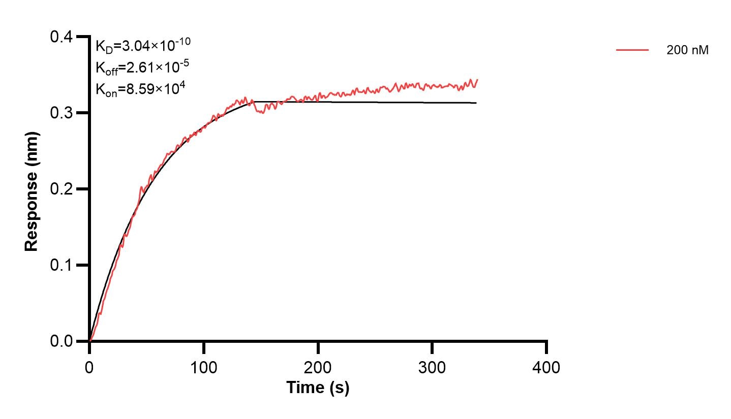 Affinity and Kinetic Characterization of 61089-2-PBS