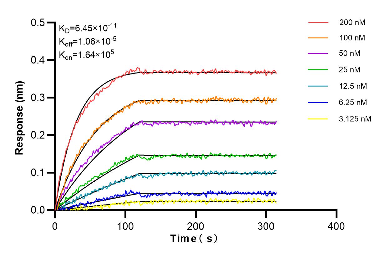 Biolayer interferometry (BLl) kinetic assays of 65684-1-TR against Mouse PD-1/CD279 were performed. The affinity constant is 64.5 pM. Affinity and Kinetic Characterization of 65684-1-TR