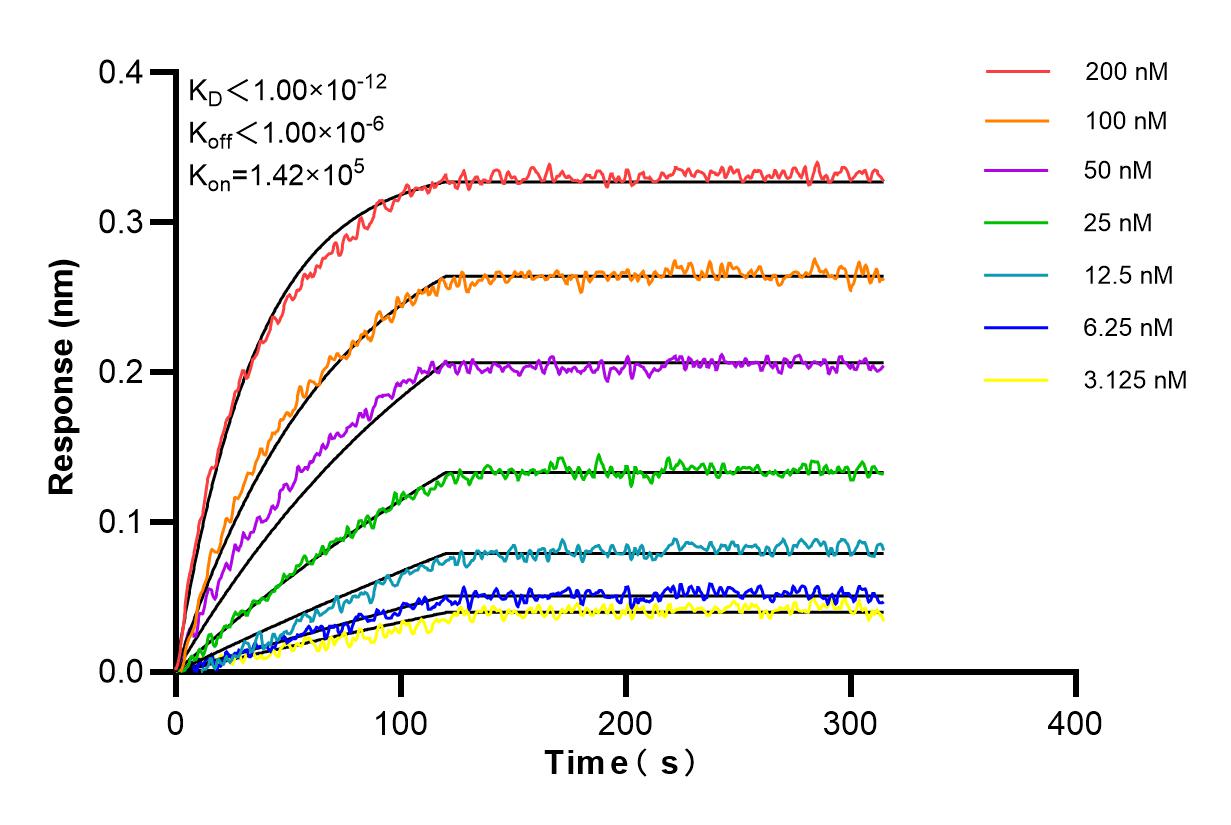 Biolayer interferometry (BLl) kinetic assays of 65684-2-MR against Mouse PD-1/CD279 were performed. The affinity constant is below 1 pM. Affinity and Kinetic Characterization of 65684-2-MR