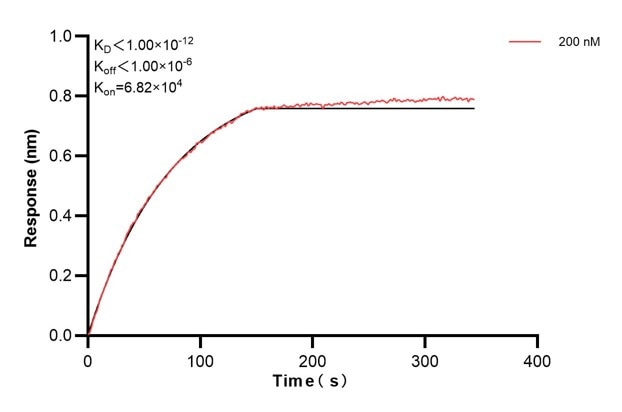 Affinity and Kinetic Characterization of 66026-4-PBS
