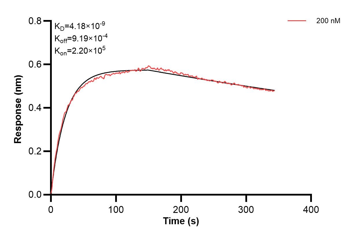 Affinity and Kinetic Characterization of 66041-1-PBS